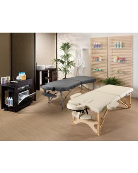 Раскладной массажный стол "Daisy"