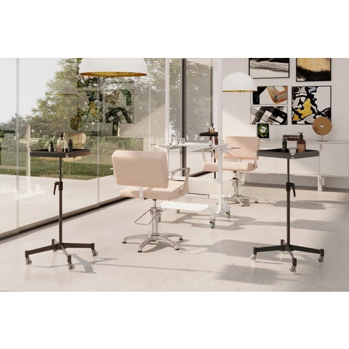 Ассистент колориста "ROCKET"